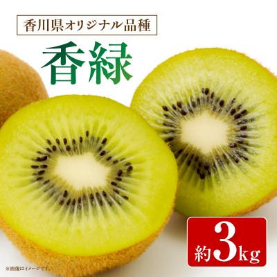 ふるさと納税 三木町 香緑(こうりょく)キウイ　約3kg