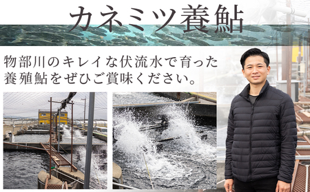 【冷蔵】子持ち鮎 3kg 生鮎 先行受付【鮎 鮎 鮎 鮎 鮎】 kt-0006