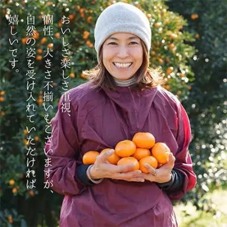 相模湾を望む畑より柑橘農家の身体に優しいマーマレード3種セット＆初摘み新茶2袋をお届け!【1738151】