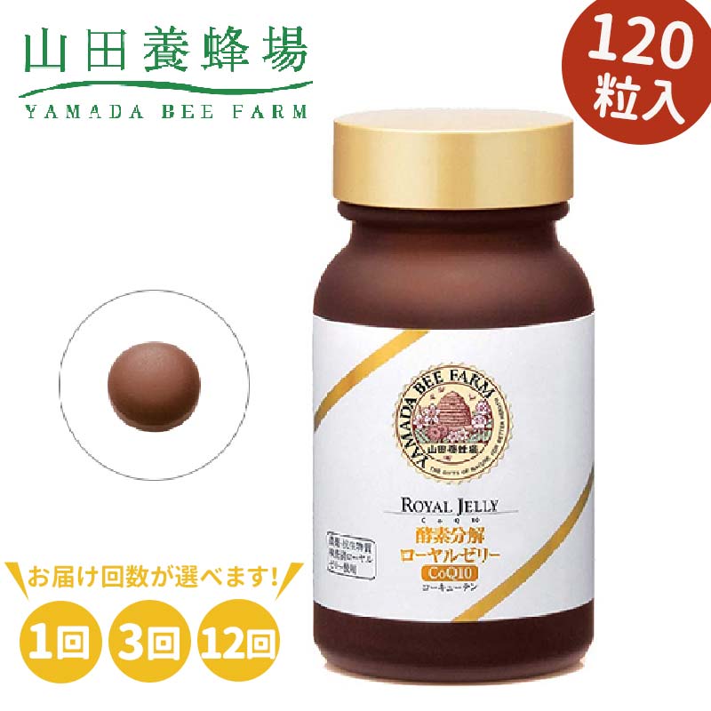 【ふるさと納税】【毎月定期便】酵素分解ローヤルゼリー CoQ10(5935)【1/3/12回】_ サプリ CoQ10 ローヤルゼリー サプリメント 栄養補助 美容サポート 酵素分解 酵素 ビタミン コエンザイムQ10 アミノ酸 粒 美容 岡山県 【配送不可地域：離島・北海道・沖縄県】【G1112651】