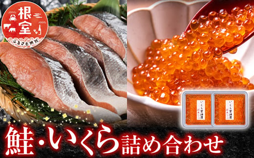 【北海道根室産】＜鮭匠ふじい＞鮭・いくら詰合せ