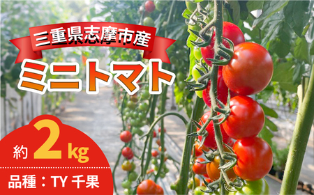 ミニトマト 2kg 国産 野菜 【ミニトマト】