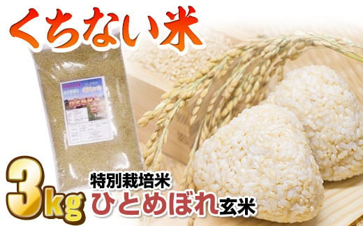 
            【 令和6年産 新米 】くちない米（ 特別栽培米 ひとめぼれ 玄米 ）3kg 岩手県 北上市 B0410 国産 東北 岩手 米 お米 ご飯 こめ 産直 2024年 R6年  [11/29より寄附額変更となりました]
          