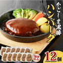 【ふるさと納税】 鹿児島黒豚 ハンバーグ 12個 入り 豚 豚肉 黒豚 惣菜 おかず おつまみ 夕食 昼食 弁当 簡単 調理 時短 便利 レンジ 温めるだけ 和風 冷凍 小分け セット 美味しい ジューシー ライジング 鹿児島市 おすすめ ランキング プレゼント ギフト お歳暮 Z