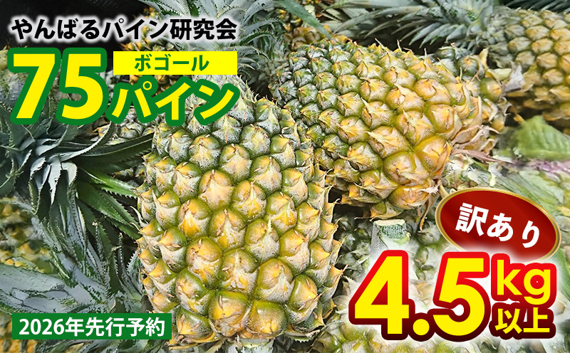 【2026年先行予約】【訳あり】７５パイン（ボゴール）4.5kg以上 パイン パイナップル パインアップル 沖縄県産パイン フルーツ 南国フルーツ トロピカルフルーツ 沖縄フルーツ 果物 くだもの 果実 デザート 甘い 人気 おすすめ プチギフト 産地直送 国産 沖縄 名護市