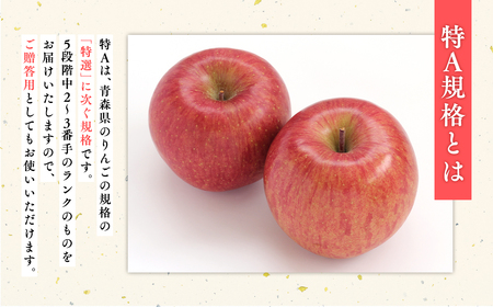 《1月発送》 サンふじりんご 「 特A 」規格 約3kg(8～10玉程度)  【糖度 13度以上 森山商店 平川市産 青森りんご 年明け発送 1月 林檎 リンゴ りんご サンふじ ふじ 特A規格 光セ