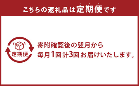 【全3回定期便】 おまかせフラワーアレンジメント 【L】 ／ お花 花 花束 季節 フラワー アレンジメント 誕生日 結婚記念日 ギフト 贈答 母の日 クリスマス 長崎