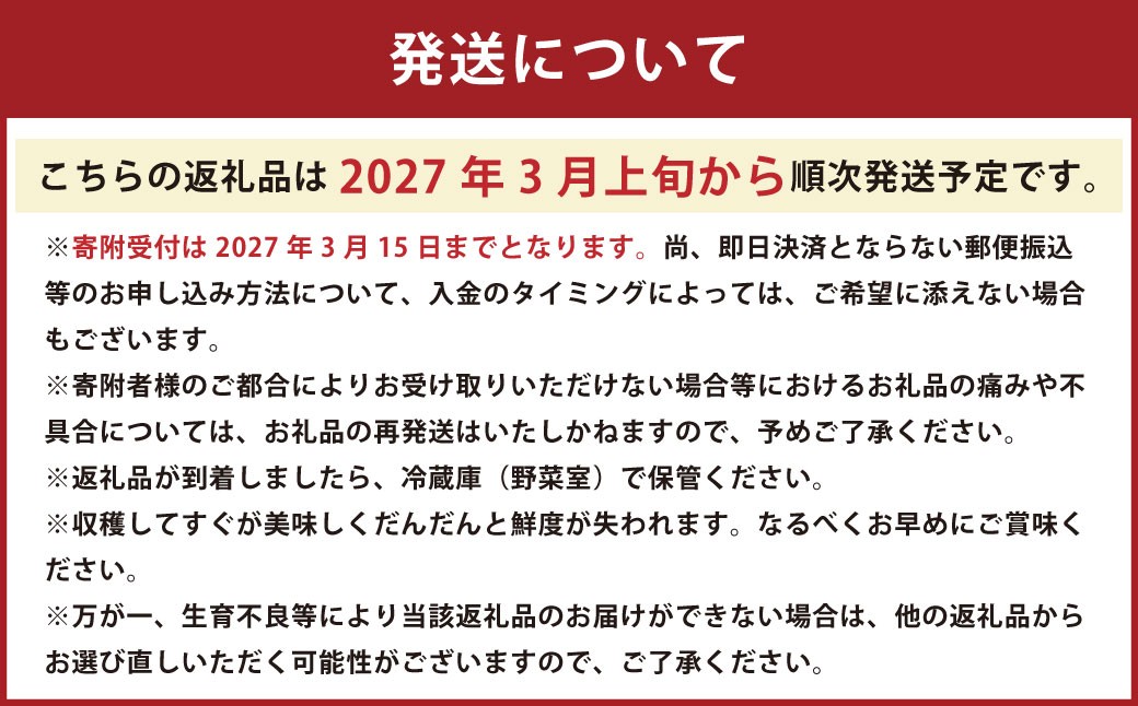 熊本県宇城市不知火町海沿いの段々畑で作った「オレンジ（のむちゃん1号） 」約3kg（12-18玉）