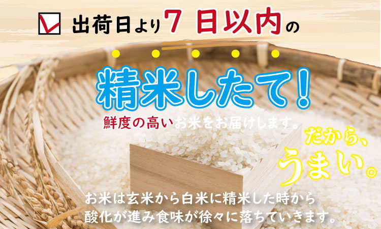 令和7年度産  もっちり艶々「農薬：栽培期間中不使用」ヒノヒカリ 5㎏ しもむら農園　佐賀 農薬不使用  送料無料 合計5キロ  一等米 精米 白米 ブランド米 お米 白飯 人気 ランキング  高評価