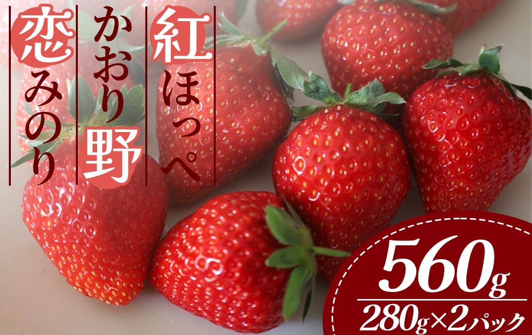
                  【順次配送】いちご DXパック 280g 2パック　【 いちご DXパック 紅ほっぺ 恋みのり かおり野 こだわり いちご イチゴ strawberry 苺 新鮮 朝摘み 朝採り 産直 産地直送 安心安全 ichigo itigo いちご 苺 果物 フルーツ くだもの 贈物 ケーキ ふるさと納税 ふるさと納税苺 いちご 静岡県 南伊豆町 baby berry farm 】　<A-2>
                
