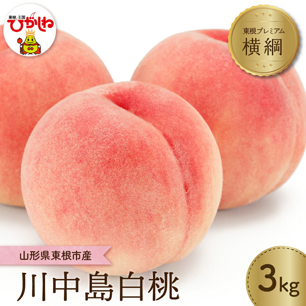 【ふるさと納税】【 2026年産 先行予約 】 もも【横綱】川中島白桃 3kg JA提供 糖度計 高糖度 光センサー選別 / 桃 白桃 フルーツ 果物 くだもの 箱入り 化粧箱 期間限定 大容量 冷蔵配送 先行予約 取り寄せ グルメ ご当地 特産 産地 直送 送料無料 山形県 東根市