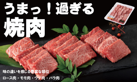 【定期便】佐賀牛 A5 焼肉・しゃぶしゃぶすき焼き 厳選部位 合計800g（400g x 各1P）6回定期 計4.8kg(800gx6)  Q126-003 桑原畜産 小分け ブランド牛 黒毛和牛 牛