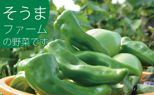 2026年産 相馬ファーム季節の野菜詰め合わせ【AH-001】
