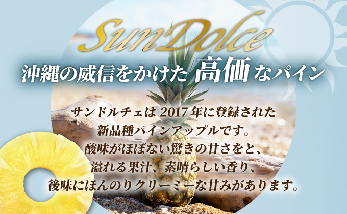【先行予約】《2025年夏季 順次発送》サンドルチェ大玉2～3個 計2.4kg　SI-41