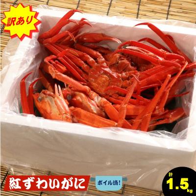 ふるさと納税 米子市 【訳あり】紅ズワイガニセット (約1.5kg) ずわいがに 数量限定 期間限定