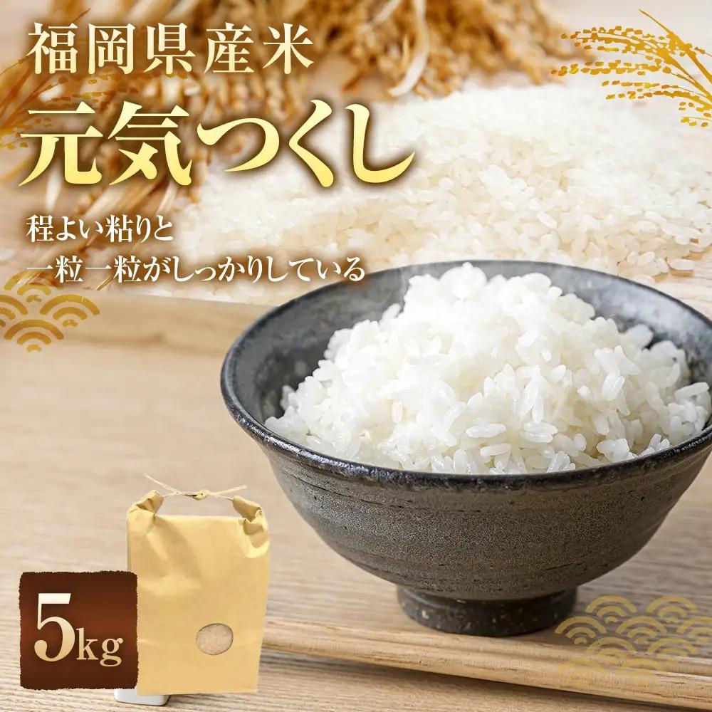 福岡県産米 元気つくし 5kg お米 米 こめ コメ 白米 白飯 飯 ご飯 おにぎり 国産 福岡県産 ブランド米 ブランド 卵かけご飯 精米