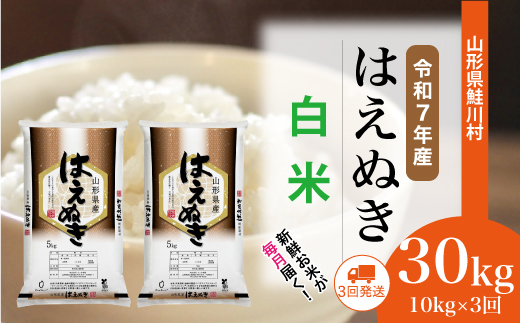 ＜令和7年産米＞ はえぬき 【白米】 定期便 30kg （10kg×1ヶ月間隔で3回お届け）＜配送時期選べます＞　山形県鮭川村