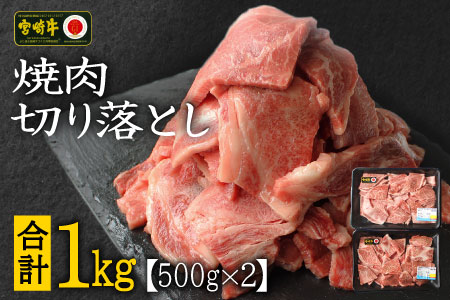 宮崎牛 焼肉 切り落とし 合計1kg（500g×2P）ウデ 牛肉 切り落し 切落し BBQ 国産 普段使い 九州産【C269-24-30】