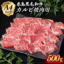 【ふるさと納税】A4ランク 糸島 黒毛和牛 カルビ 焼肉用 500g 【糸島ミートデリ工房】 [ACA049] お届け回数選べる 19000円