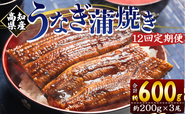 【１２回定期便】高知県産養殖うなぎ蒲焼き 約200g×３尾 Wfb-0056