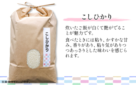 604 コシヒカリ 10kg