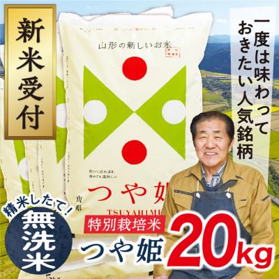 ふるさと納税 最上町 【令和8年産先行受付】山形県産特別栽培米つや姫20kg(無洗米)