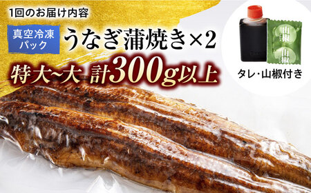 【6回定期便】うなぎ 蒲焼き 2尾 × 6回 計12尾 多治見市/澤千 蒲焼き かば焼き [TDD006]