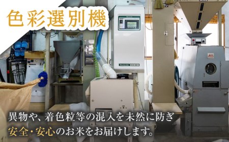 【全12回定期便】【真空包装可能】なつほのか 白米 5kg×12回 計60kg もち麦 300g×12回 計3600g  波佐見町産 セット【冨永米穀店】[ZF12]