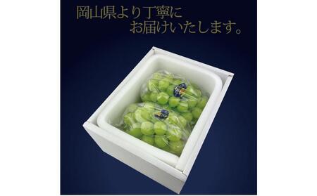 [HS]【定期便 全2回】ぶどう 2025年 先行予約 9月・10月発送 最高級品シャイン マスカット 晴王 2房 〈合計約1.4kg〉 ブドウ 葡萄  岡山県産船穂産 フルーツ 果物 ギフト