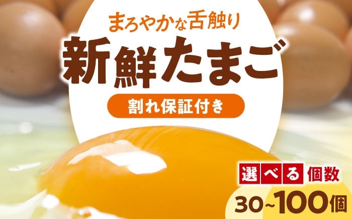 
            選べる内容量！ 卵 平飼い 海草たまご 割れ保証あり 愛媛県大洲市/和田養鶏場 卵 定期便 たまご 卵 鶏卵 たまご 玉子 タマゴ エッグ 生卵 国産 卵焼き 卵料理 卵かけご飯 たまごかけご飯 温泉卵 ゆでたまご 朝食 夕食 夜ご飯 おかず 栄養満点 割れ保証 [AGDQ]
          