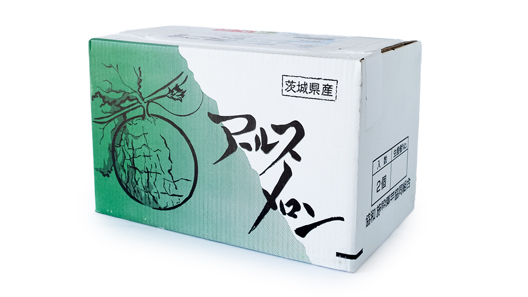 【2025年8月下旬発送開始】 季節 限定 ！ 甘さ満点 特大 アールスメロン 1個 果物 フルーツ 農家直送 産直 青肉メロン 特産品 マスクメロン メロン くだもの 茨城 [BC005sa]