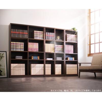ふるさと納税 海南市 本棚 幅120 日本製 sb40229 |  | 01