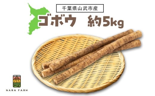 【8月中旬～1月下旬発送】ゴボウ 約5kg【 ふるさと納税 人気 おすすめ ランキング ゴボウ ごぼう 牛蒡 根菜 千葉県 山武市 送料無料 】 SMAF002