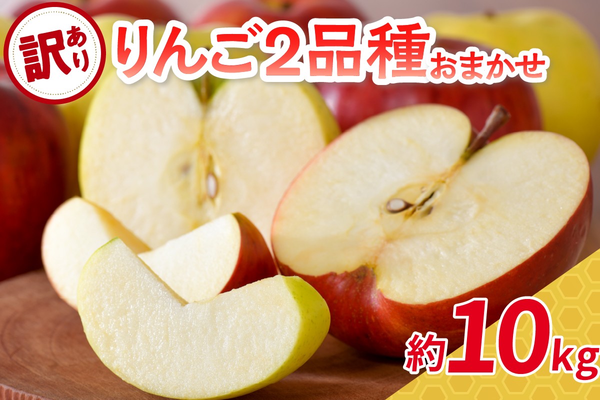 
            【選べる配送時期】 【訳あり】 旬の美味しい りんご 10kg 程度 青森 【おまかせ2品種】
          