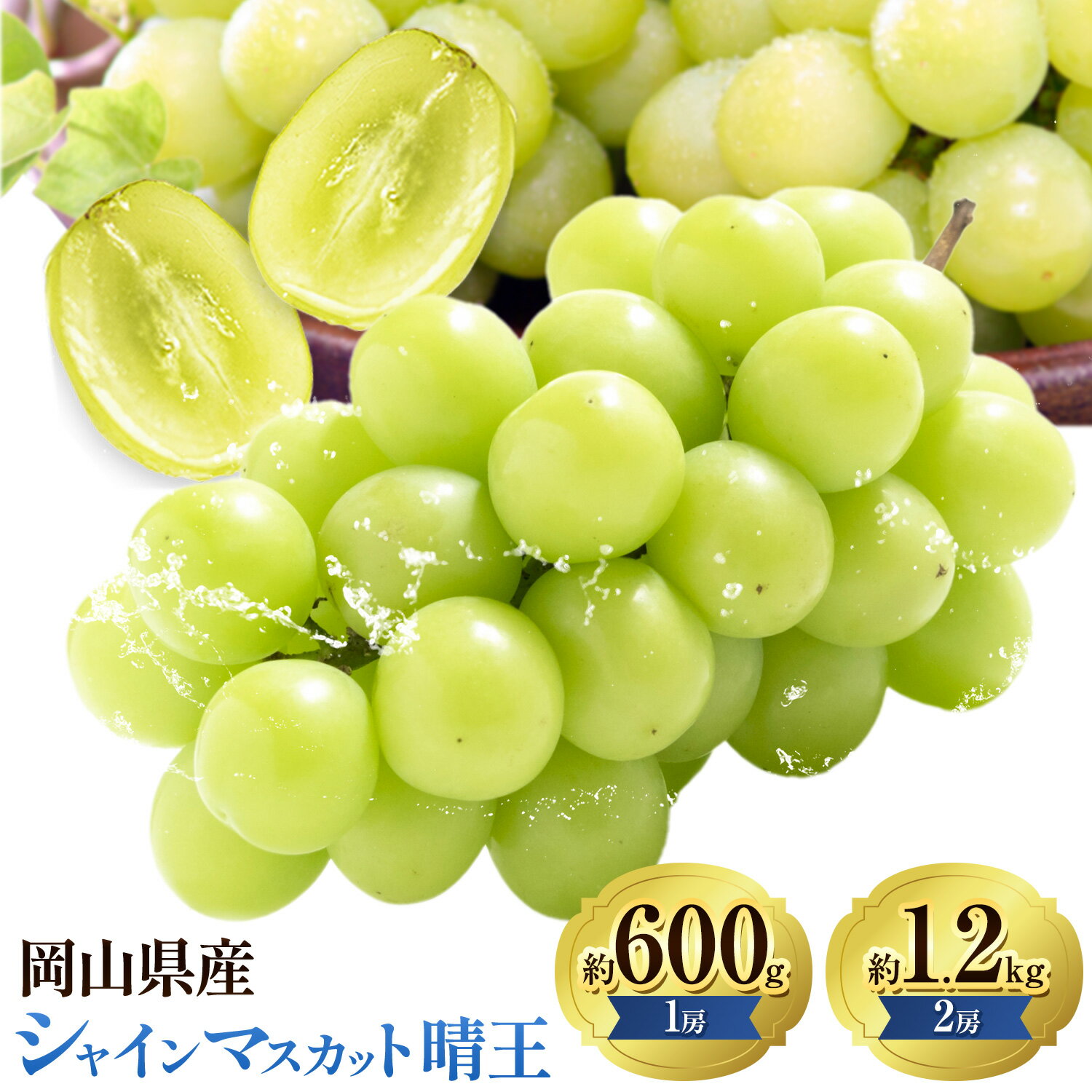 【ふるさと納税】ぶどうシャインマスカット 晴王 選べる 約 600g 1房 または 約 1.2kg 2房 【配送不可地域あり】 株式会社藍《9月上旬-10月下旬頃出荷》 岡山県 浅口市 岡山県産 ぶどう フルーツ 果物 くだもの マスカット 送料無料