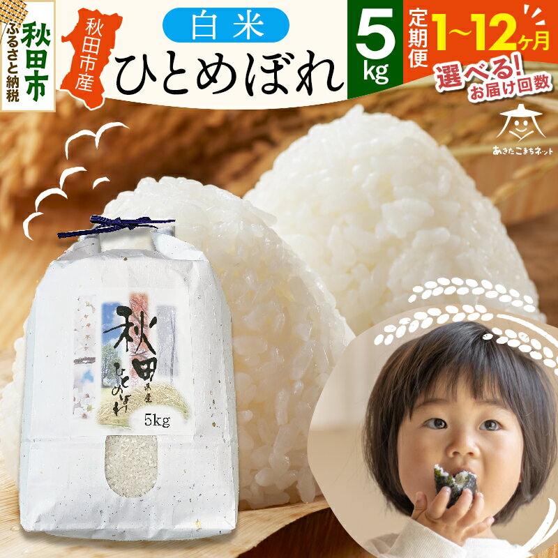 【ふるさと納税】ひとめぼれ 5kg 秋田市産【白米】【選べるお届け回数(1回〜定期便) 】