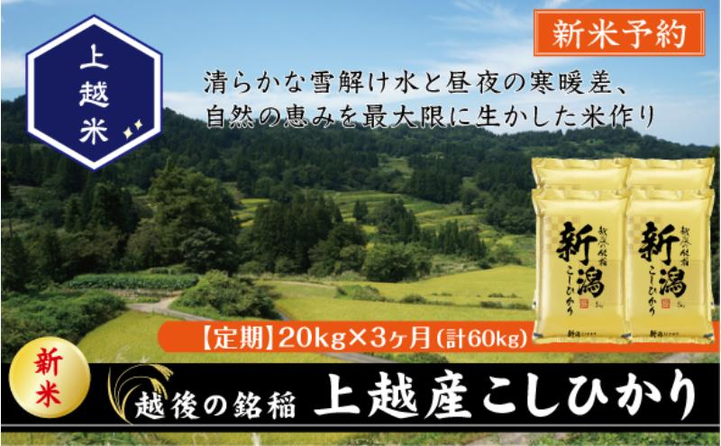 
            令和7年産 新潟県上越産こしひかり 精米 20kg 3か月定期便 上越市 米 コメ コシヒカリ
          