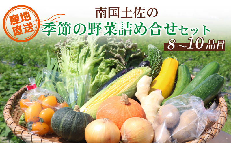 【産地直送新鮮野菜】 高知県産 南国土佐の季節の野菜詰め合せセット【野菜セット】