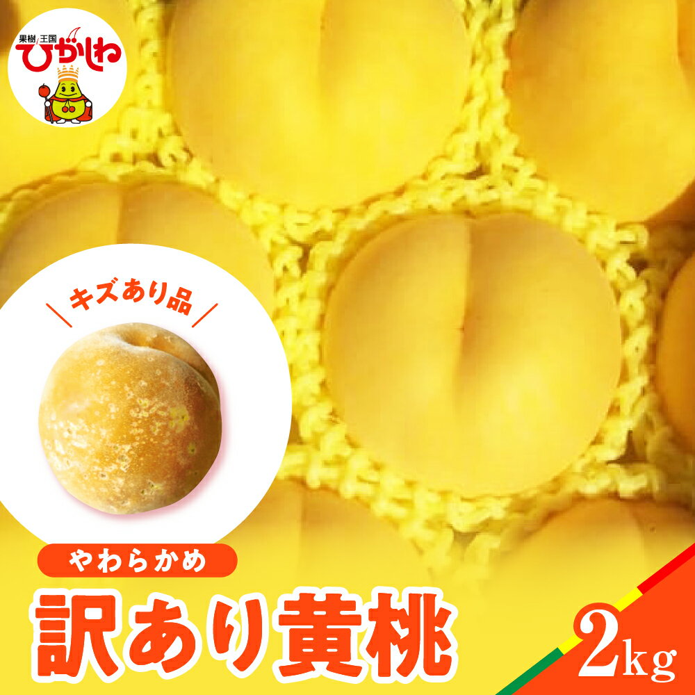 【ふるさと納税】【 2025年産 先行予約 】 黄桃 品種おまかせ 訳あり 2kg ( やわらかめ )桃 もも モモ ピーチ フルーツ 果物 くだもの 訳アリ 傷 規格外 不揃い 期間限定 大容量 冷蔵配送 先行予約 取り寄せ グルメ ご当地 特産 直送 送料無料 東北 山形県 東根市