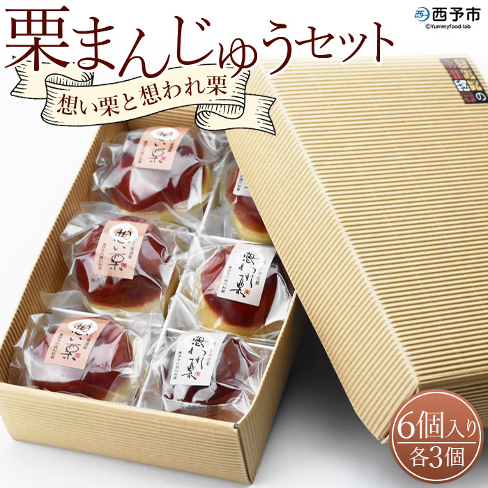 ＜栗まんじゅう2種セット「想い栗」と「想われ栗」 6個入り（各3個）＞お菓子 詰め合わせ 和菓子 くり マロン 和栗 お茶菓子 スイーツ 手土産 饅頭 白餡 渋皮煮 道の駅きなはい屋 城川ファクトリー 愛媛県 西予市