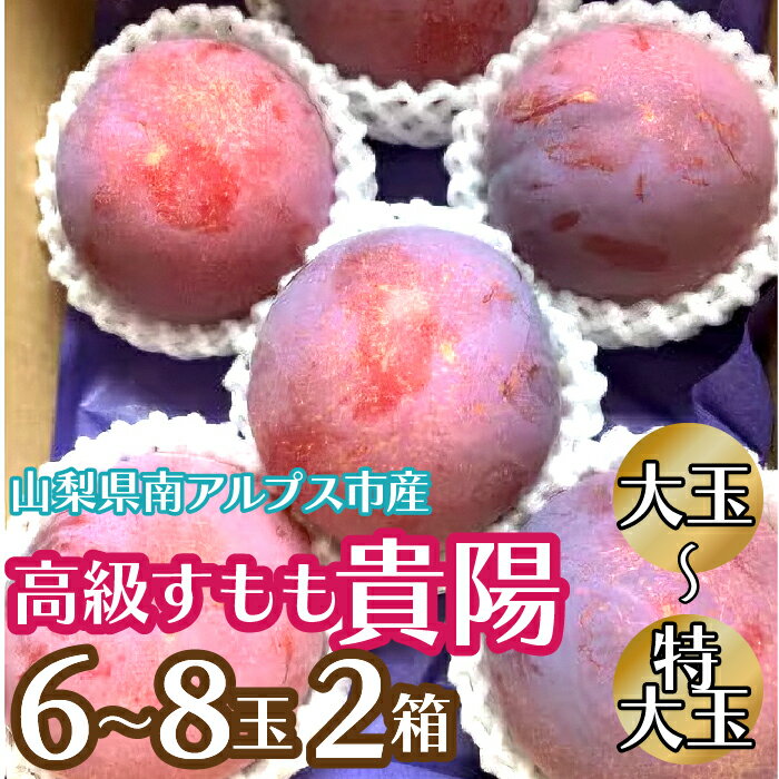【ふるさと納税】＜2026年発送先行予約＞高級すもも「貴陽」　大玉〜特大玉6玉〜8玉 2箱 ふるさと納税 すもも 貴陽 プラム 大玉 果物 フルーツ おすすめ 山梨県 南アルプス市 送料無料 ALPCZ013