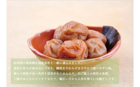 【贈答用】紀州南高梅 食べ比べセット 500g×2　（しそ風味・こんぶ風味）【inm900-5B】