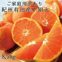 【ふるさと納税】【ご家庭用訳あり】紀州有田産不知火(しらぬひ) 約8.5kg【予約】※2025年2月中旬頃～2025年3月上旬頃に順次発送予定(お届け日指定不可) / 不知火 みかん 柑橘類 先行予約 人気