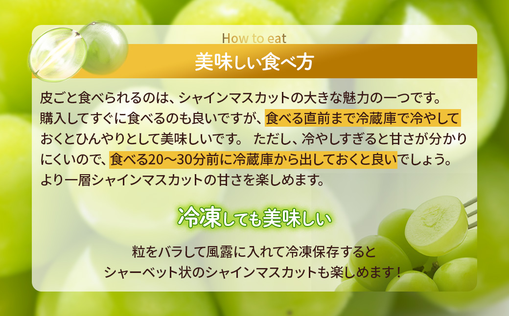 【2025年/令和7年発送分】シャインマスカット　1房　約800g