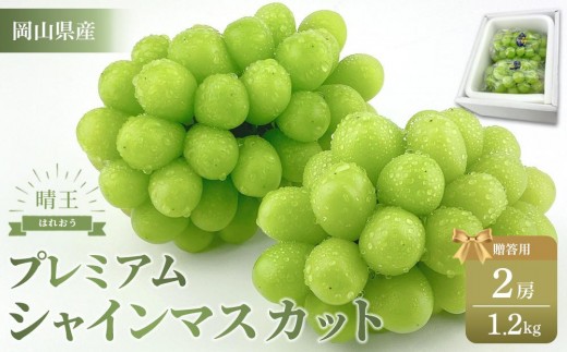 ぶどう 2026年 プレミアム シャイン マスカット 晴王 2房 約1.2kg【赤秀品 岡山県産 船穂産 種無し 皮ごと食べる 旬の美味しさ 9月以降にお届け フレッシュ 贈答用 ハレノフルーツ】