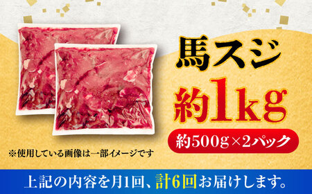 【全6回定期便】馬スジ 約1kg (約500g×2パック) / 馬肉 スジ 馬すじ 煮込み 煮物 カレー お肉 スジ肉 スジ すじ肉 料理用 馬 肉 熊本 すじ【五右衛門フーズ】[BHCY043]
