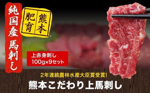馬刺し 上赤身 ブロック 国産 熊本肥育 冷凍 生食用 たれ付き(10ml×9袋) 100g×9セット 肉 期間限定 絶品 牛肉よりヘルシー 馬肉 予約 平成27年28年 農林水産大臣賞受賞 熊本県山