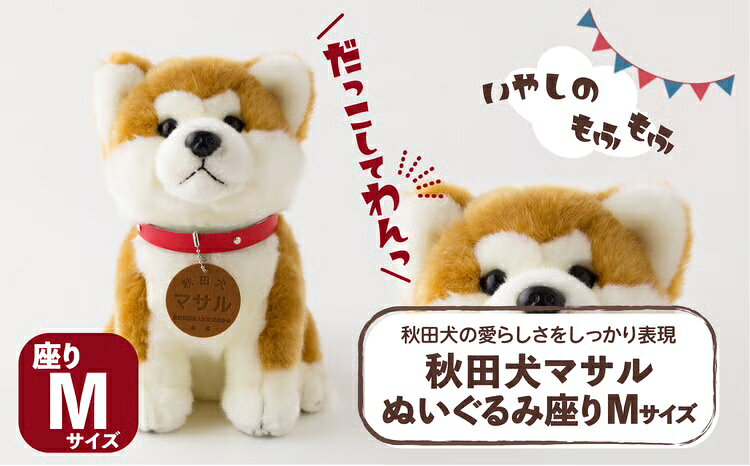 【ふるさと納税】65P7302 秋田犬マサルぬいぐるみ 座りMサイズ【(公社)秋田犬保存会】