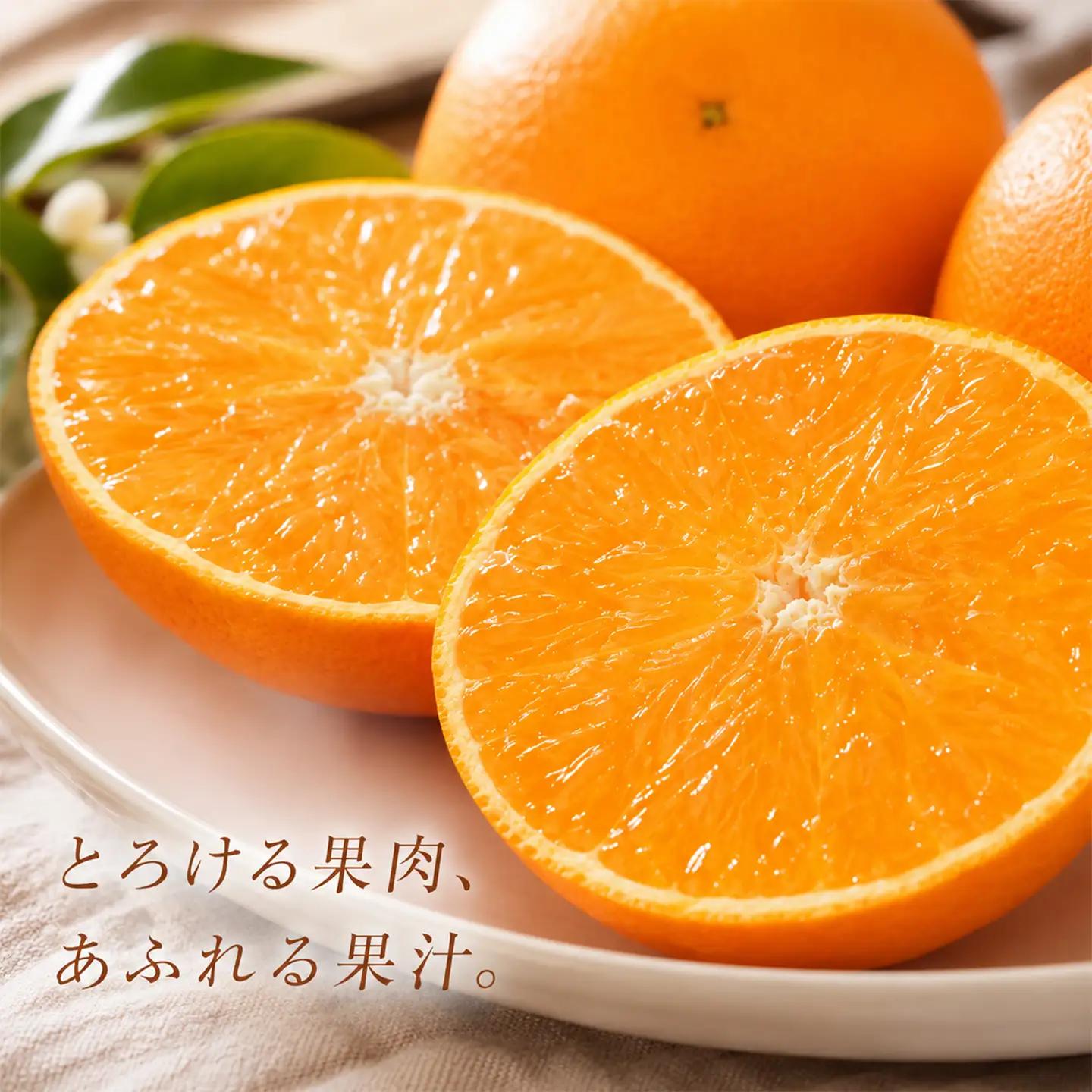 【2027年先行予約】 せとか 特選 2.5kg 柑橘 先行予約 野菜ソムリエ石児さん 豊予農場  ＜103-015＞