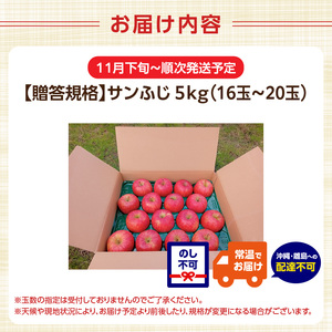 《先行予約》【贈答規格】サンふじ 5kg（16玉～20玉）【2024年11月下旬以降～発送予定】	043-005 